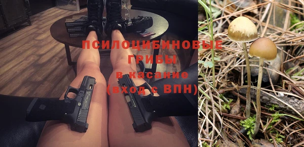 эйфоретик Баксан