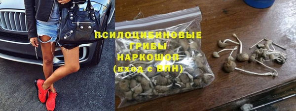 эйфоретик Баксан